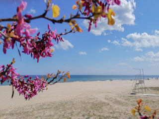 CALIMERA RALITSA SUPERIOR - BEACH